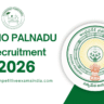 DMHO Palnadu Recruitment 2026